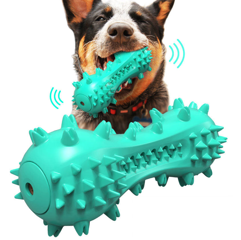 Bite Molar Toothbrush Toy