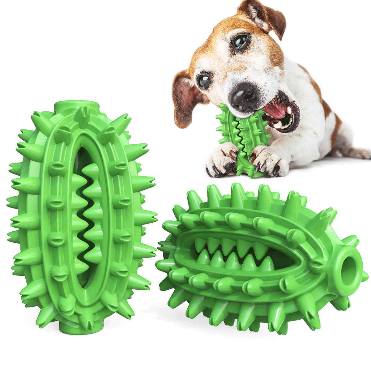 Bite Molar Toothbrush Toy