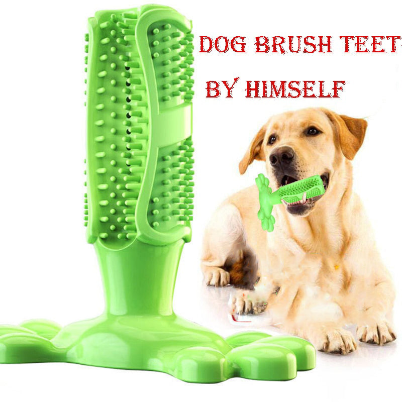 Dog Molar Cleaning Stick