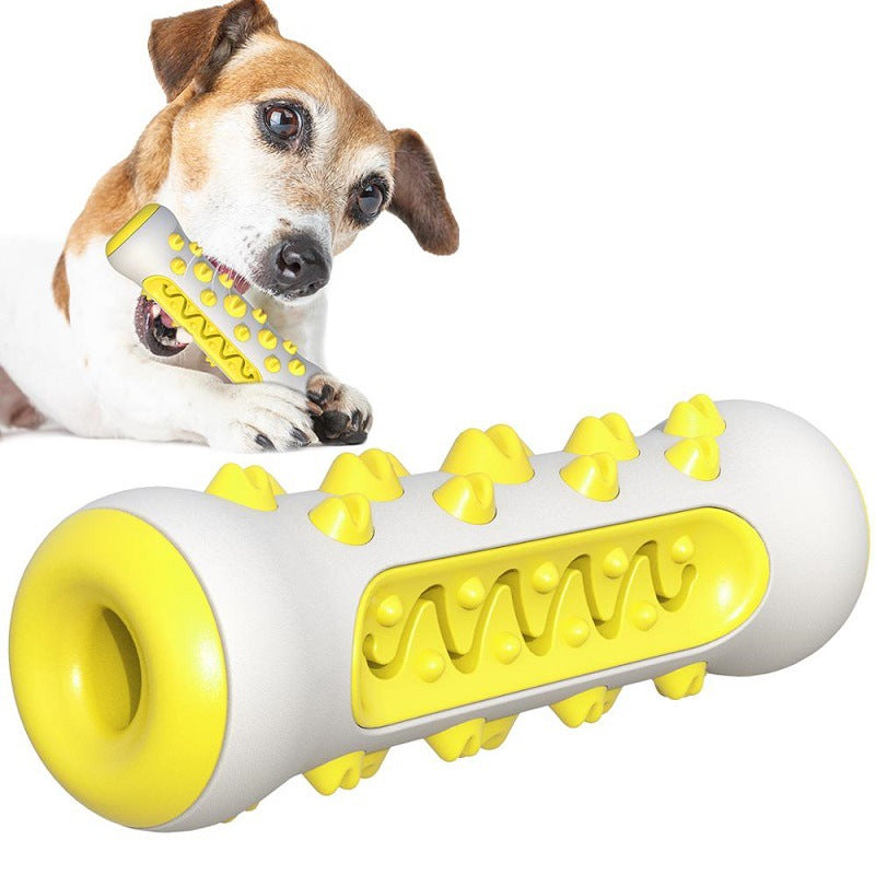 Bite Molar Toothbrush Toy