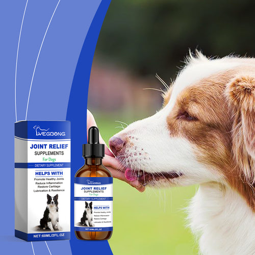 Dog Joint Support Supplement — Less Pain, More Play Every Day