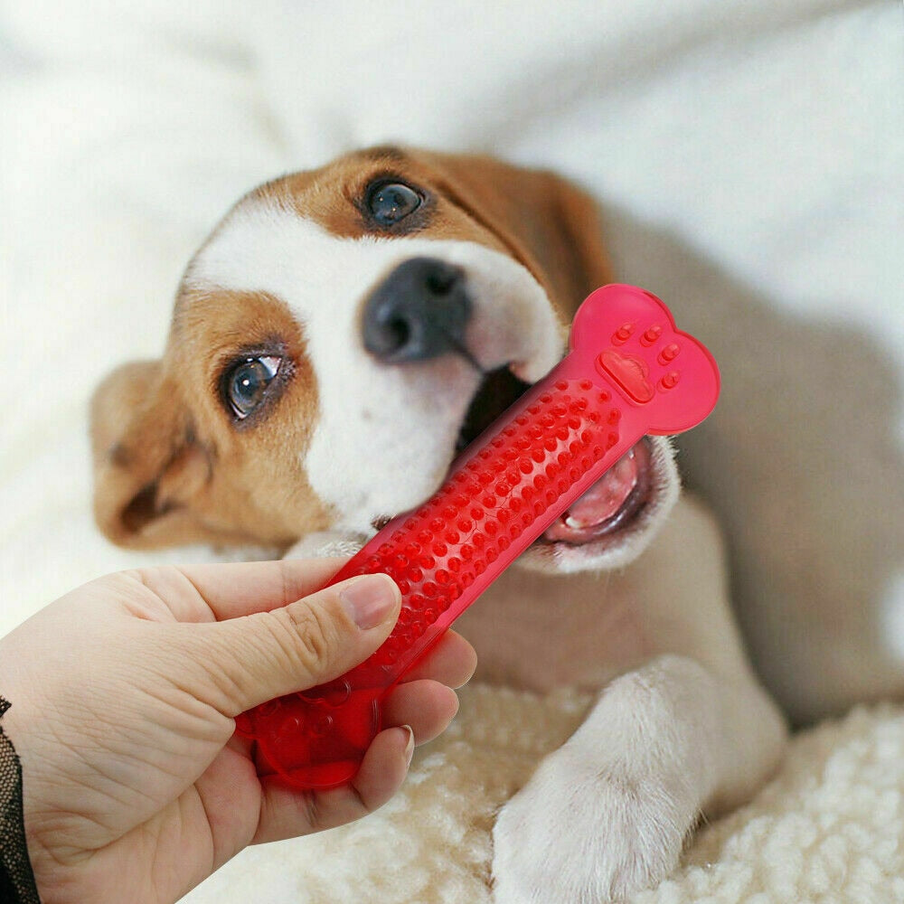 Rubber bone dog toy size comparison — durable chew toy for large dogs