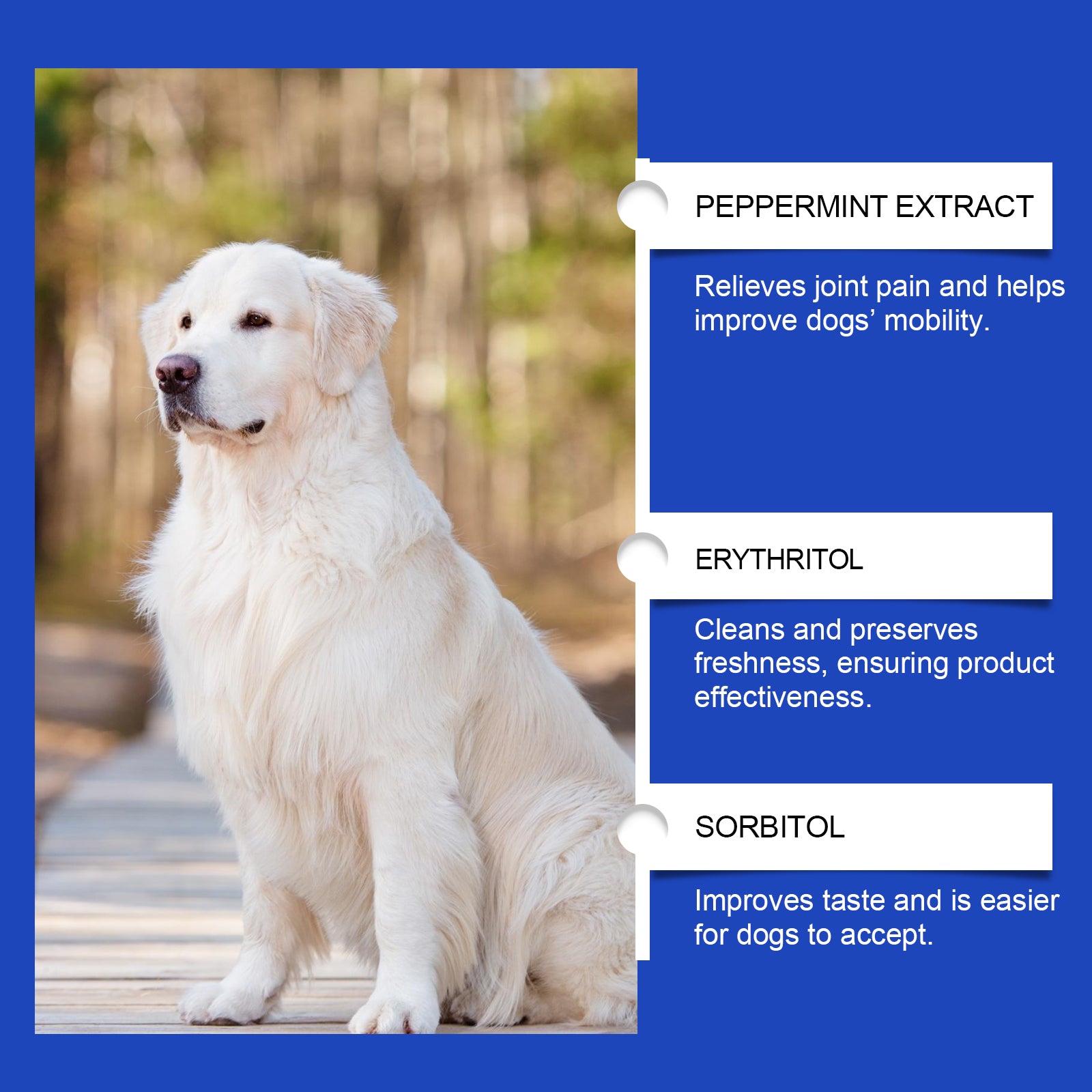 Pet Dog Joint Supplement To Enhance Nutrition Care Joint Health Pet Joint Care Agent